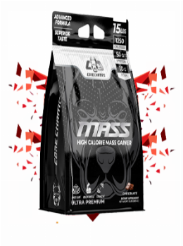 Core Champs Mass Gainer
