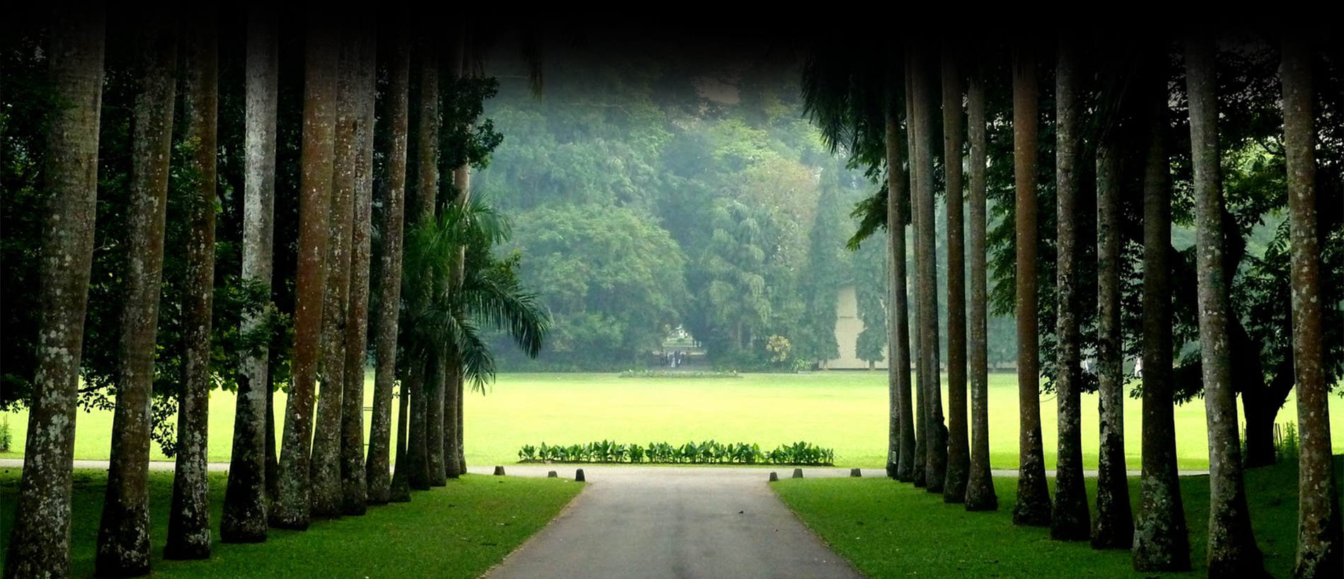 Inner Page Header